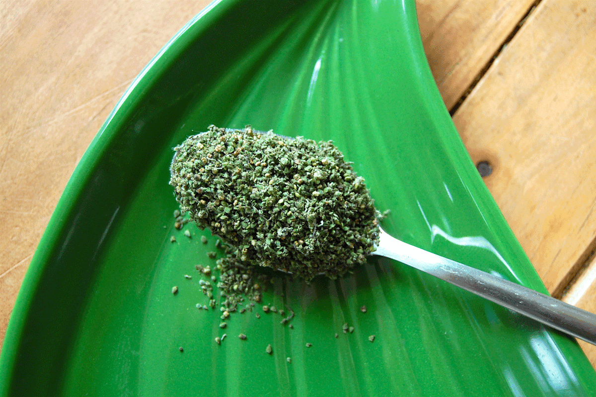 Die Powernahrung: Brennessel-Samen