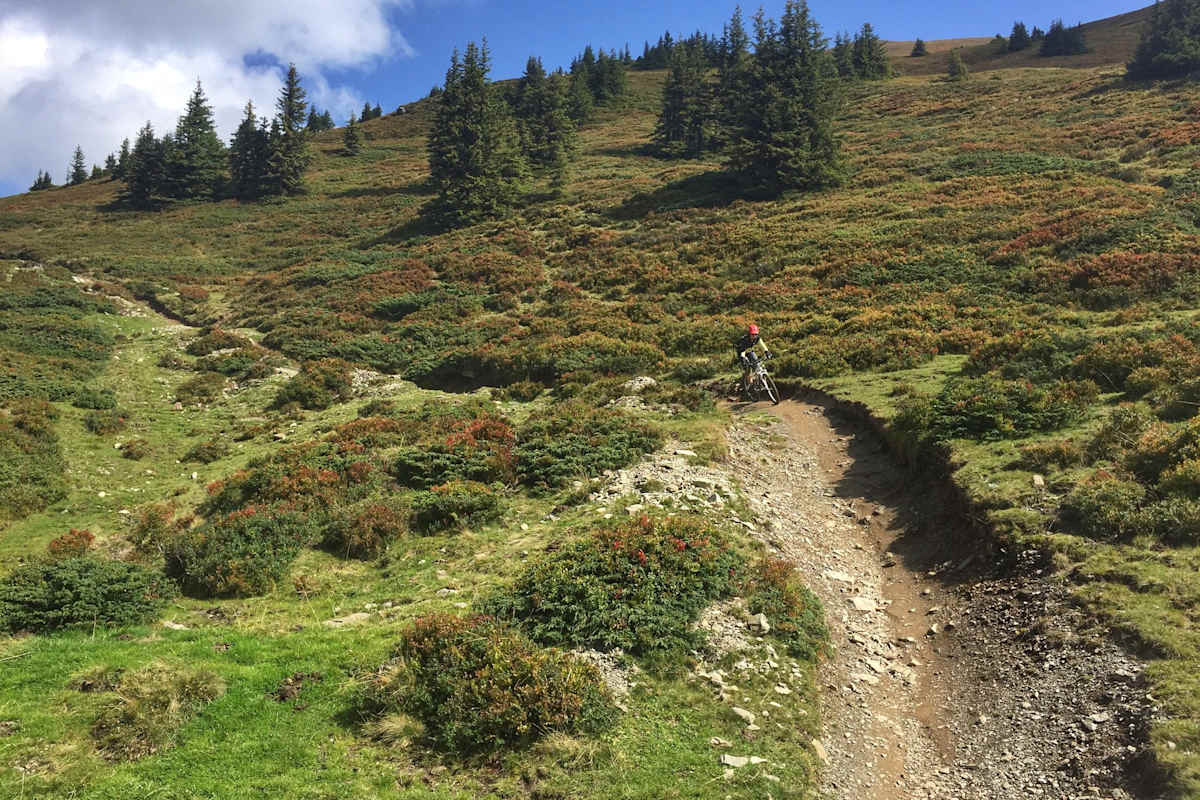 Herbststimmung am Hackelberg Trail