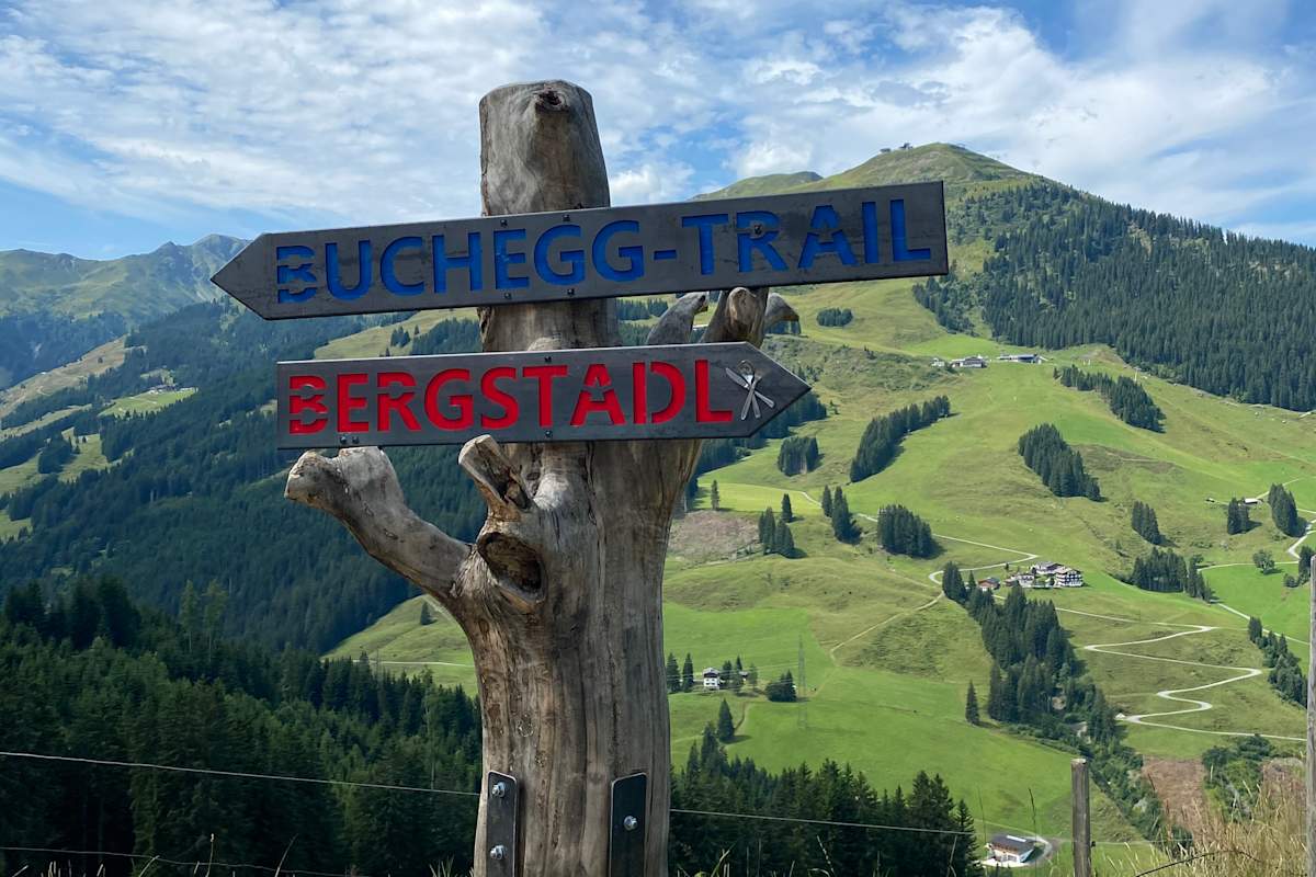 Abzweigung am Hacklberg-Trail