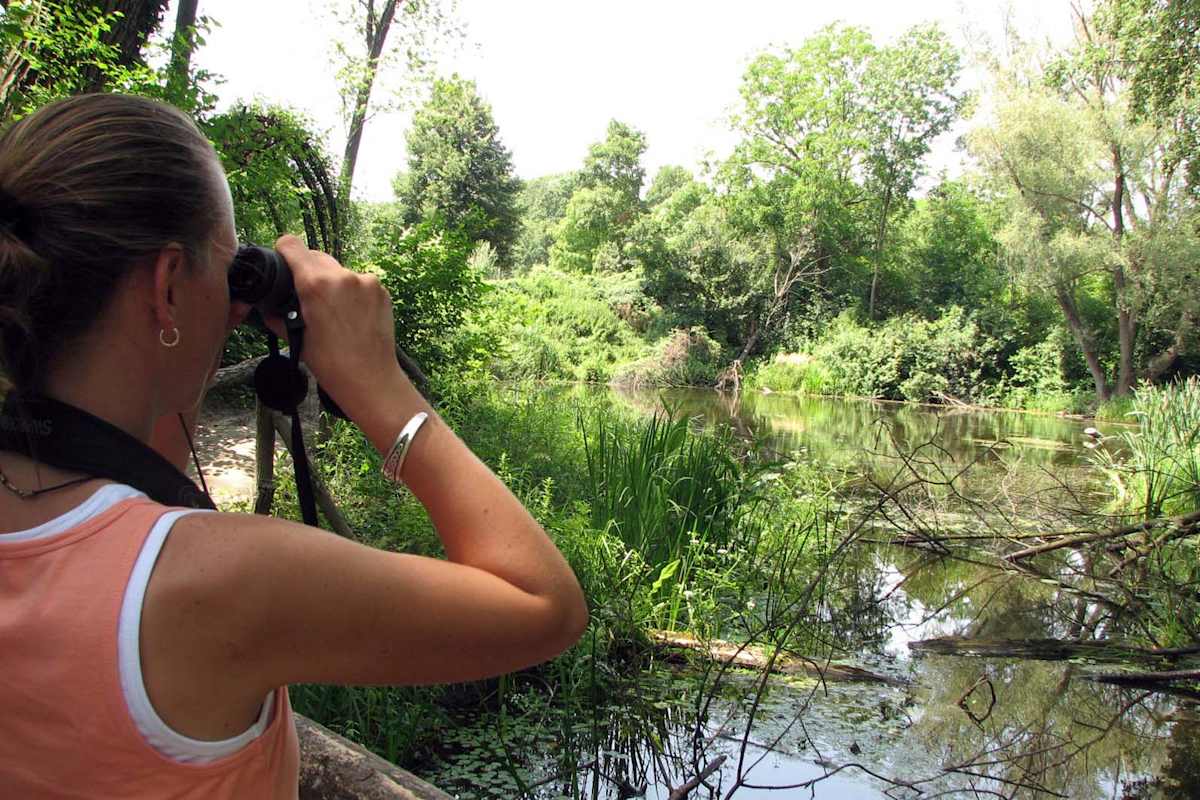 Sommer Urlaub Ziele Österreich