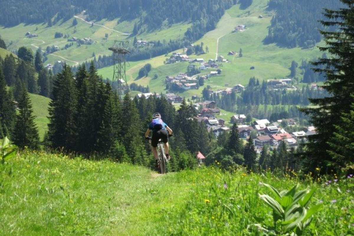 Mountainbike Trail Wiese Wald