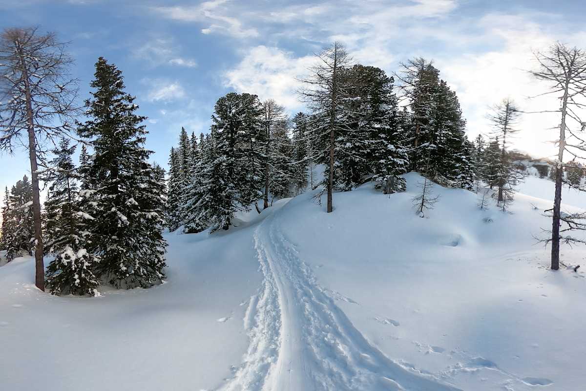 Skitour auf den Graukogel
