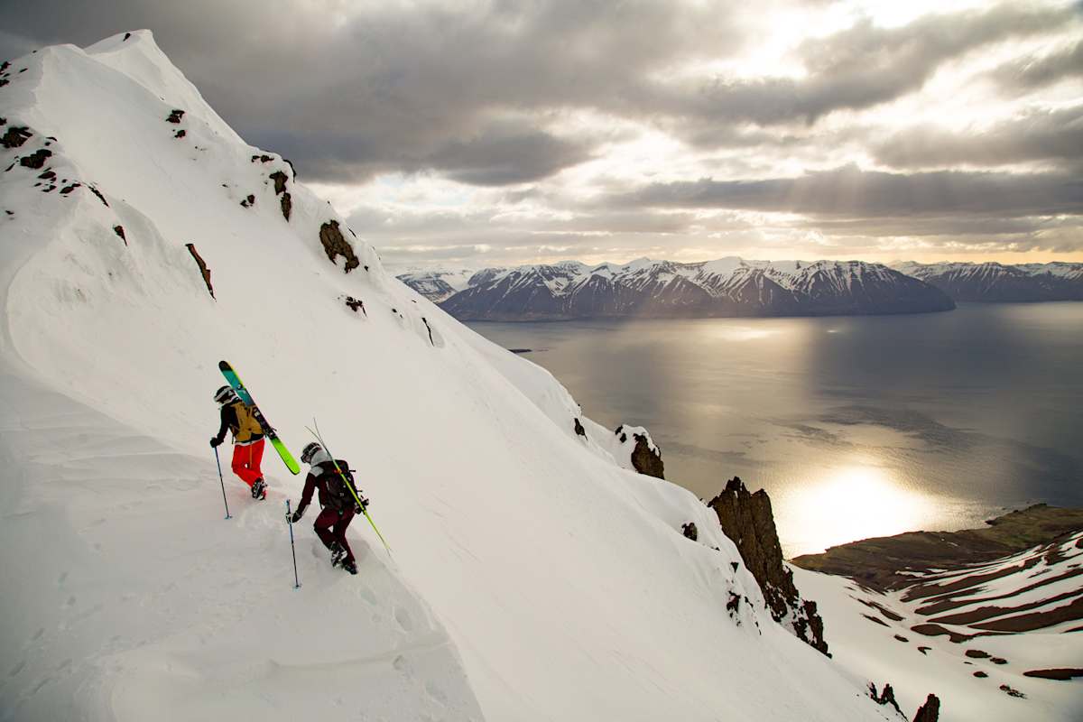 Shades of Winter Connects