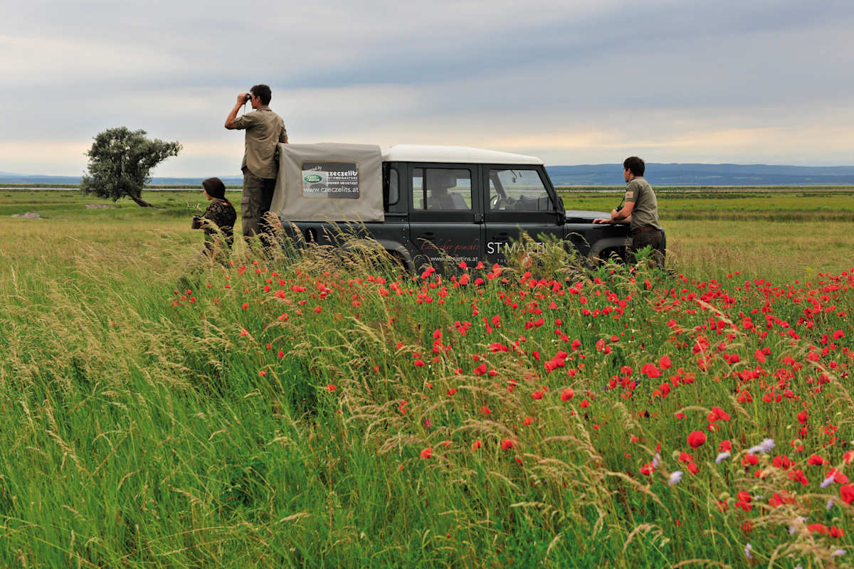 Sommer Urlaub Ziele Österreich