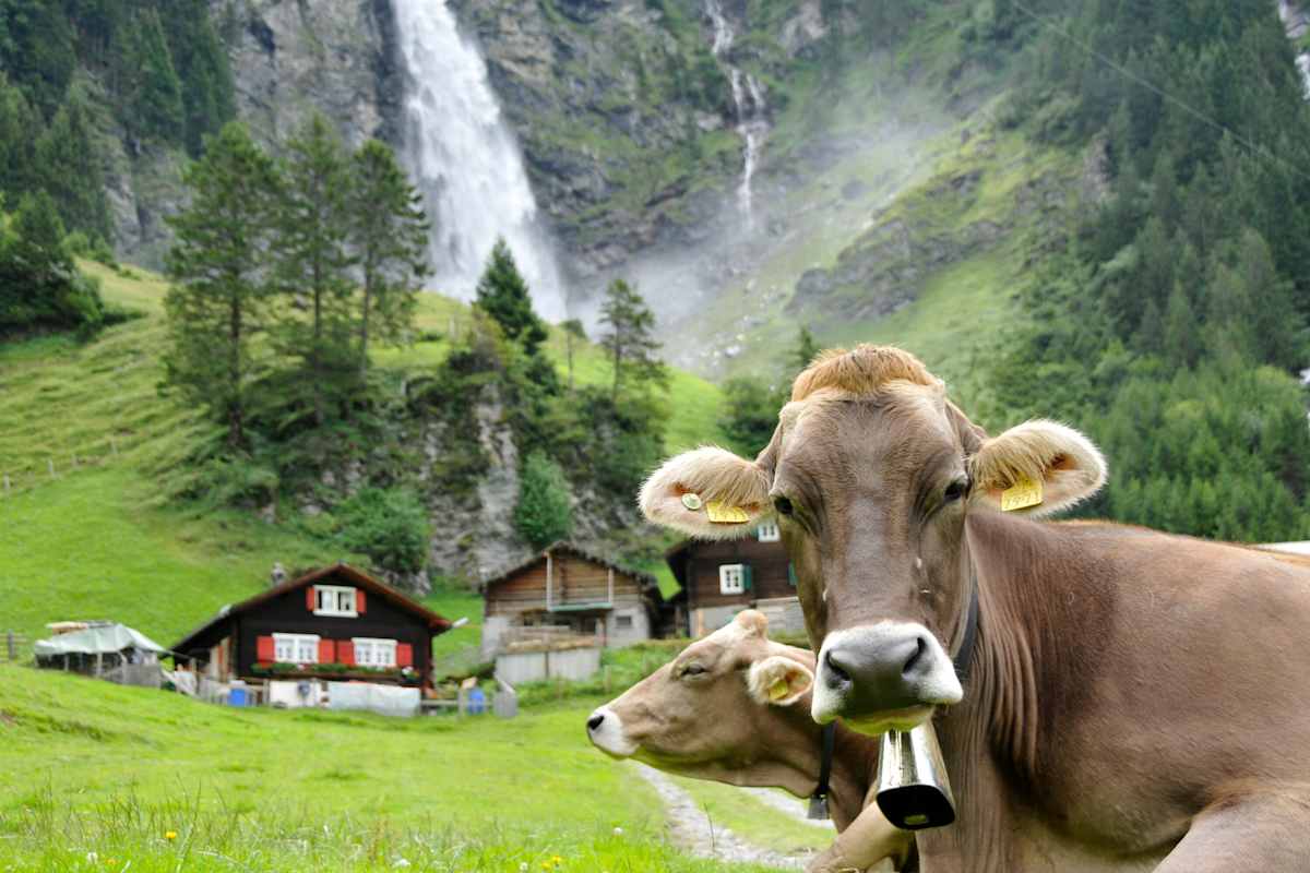 Wanderung durch das Schächental zum Stäubifall