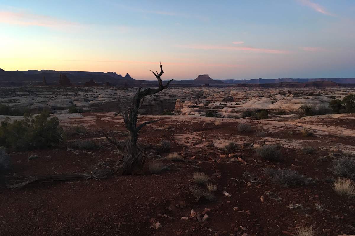 Ana Zirner Rivertime