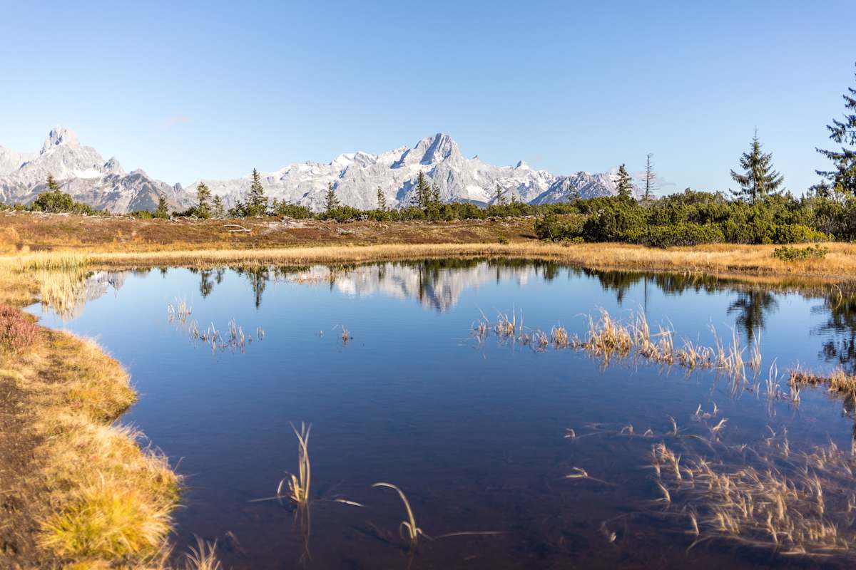 Die Schwarze Lacke am Gerzkopf