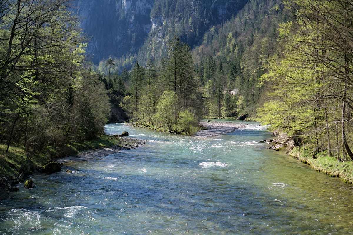 Naturfreunde Wildwasserzentrum Wildalpen