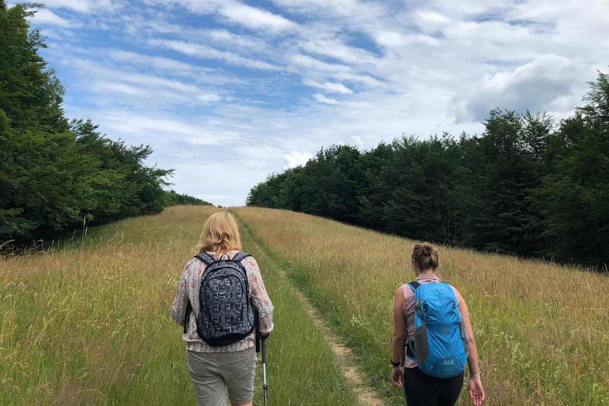 Wanderweg auf den Schöpfl