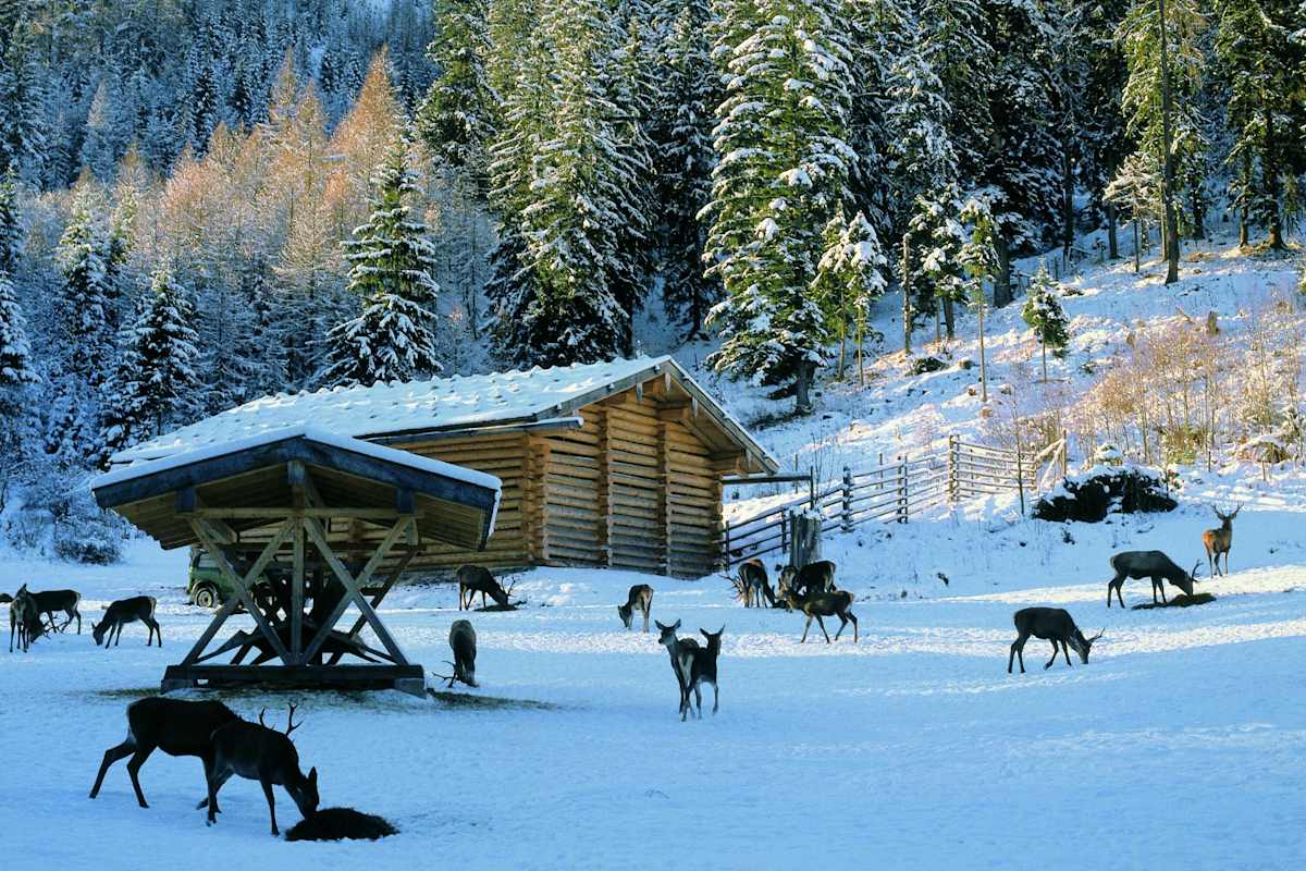 Berchtesgadener Land