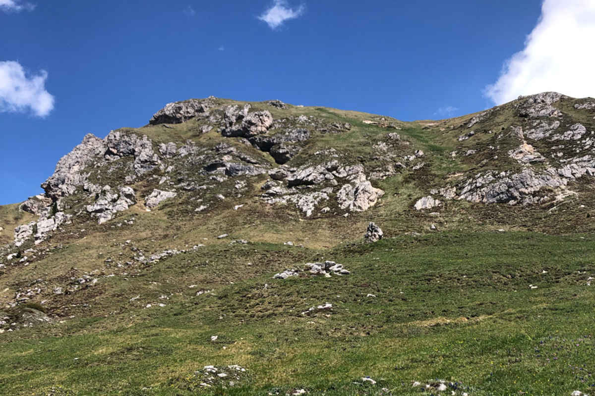 Geradeaus statt rundherum