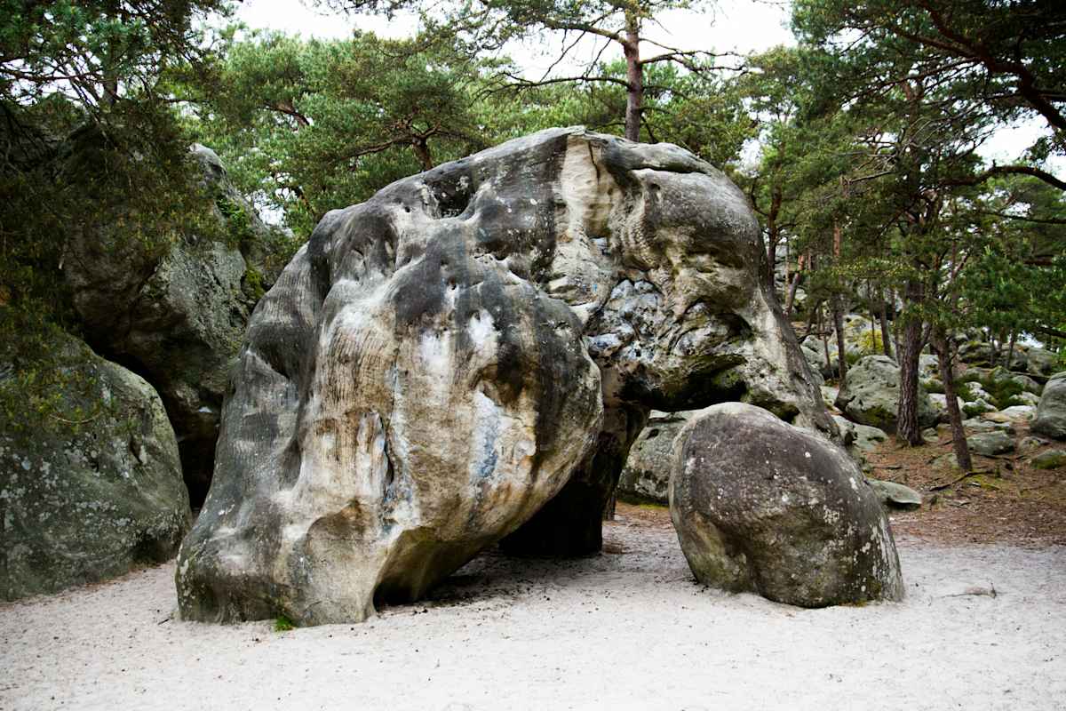 Der Boulder L´éléphant in Fontainebleau