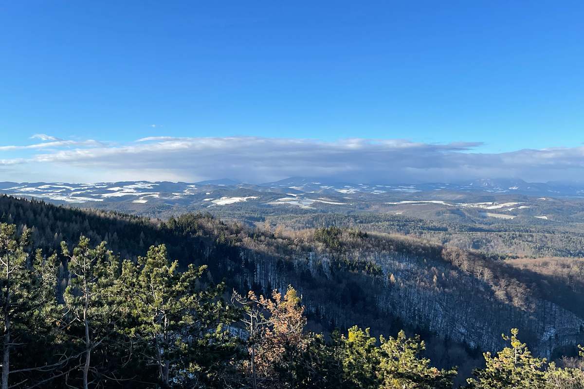 Die Rosalia Trail Challenge führt durch die schöne Natur in Niederösterreich und im Burgenland.