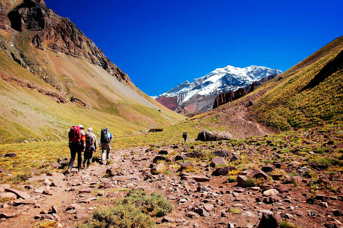Aconcagua Wanderer