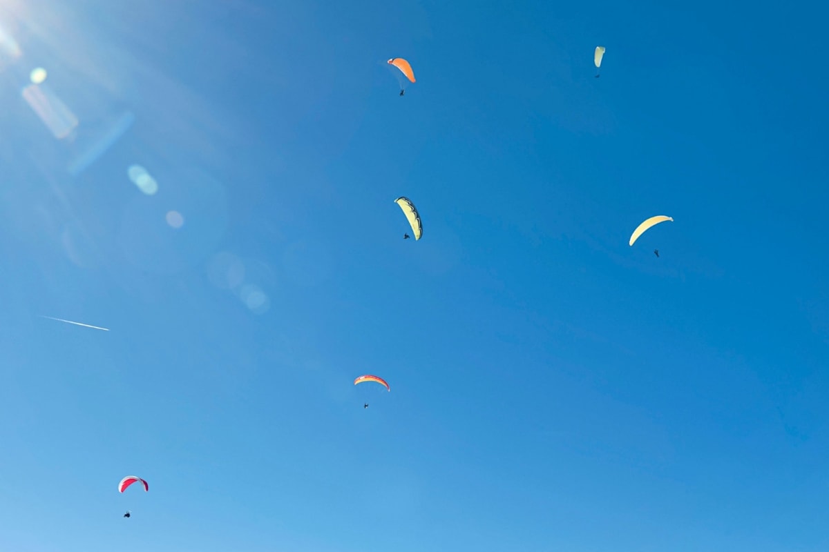 Eine Scharr an Paragleiter in der Luft.