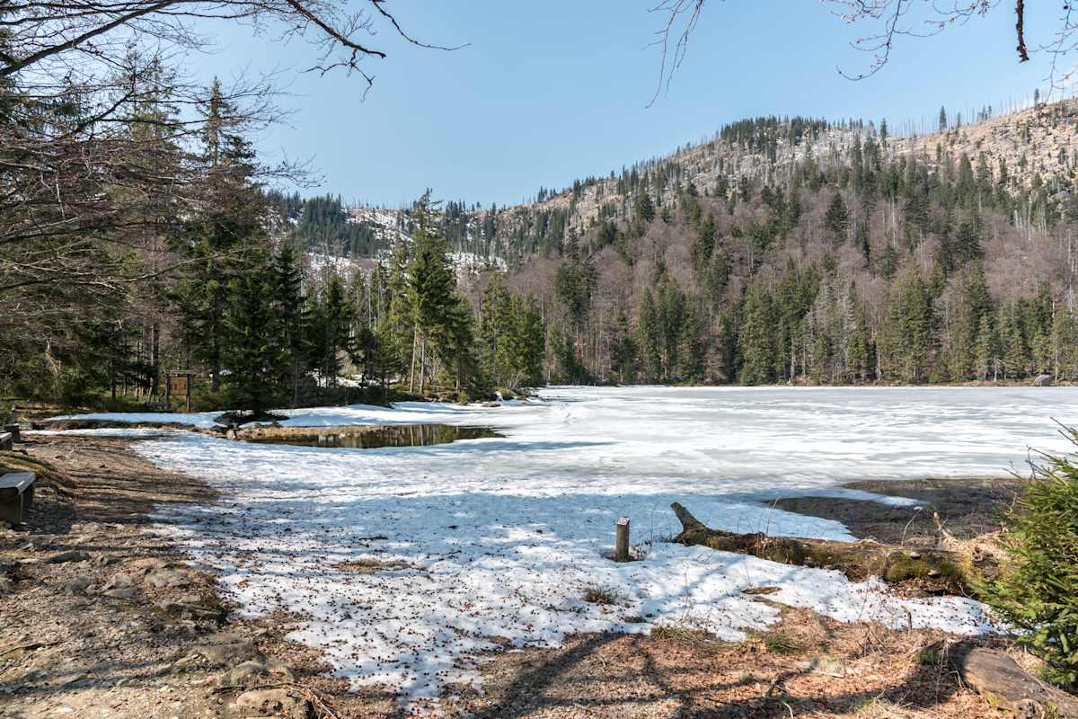 Rachelsee im Bayerischen Wald im Winter