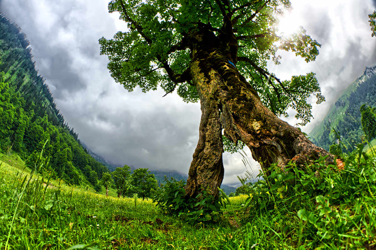 Wandern in Hall-Wattens