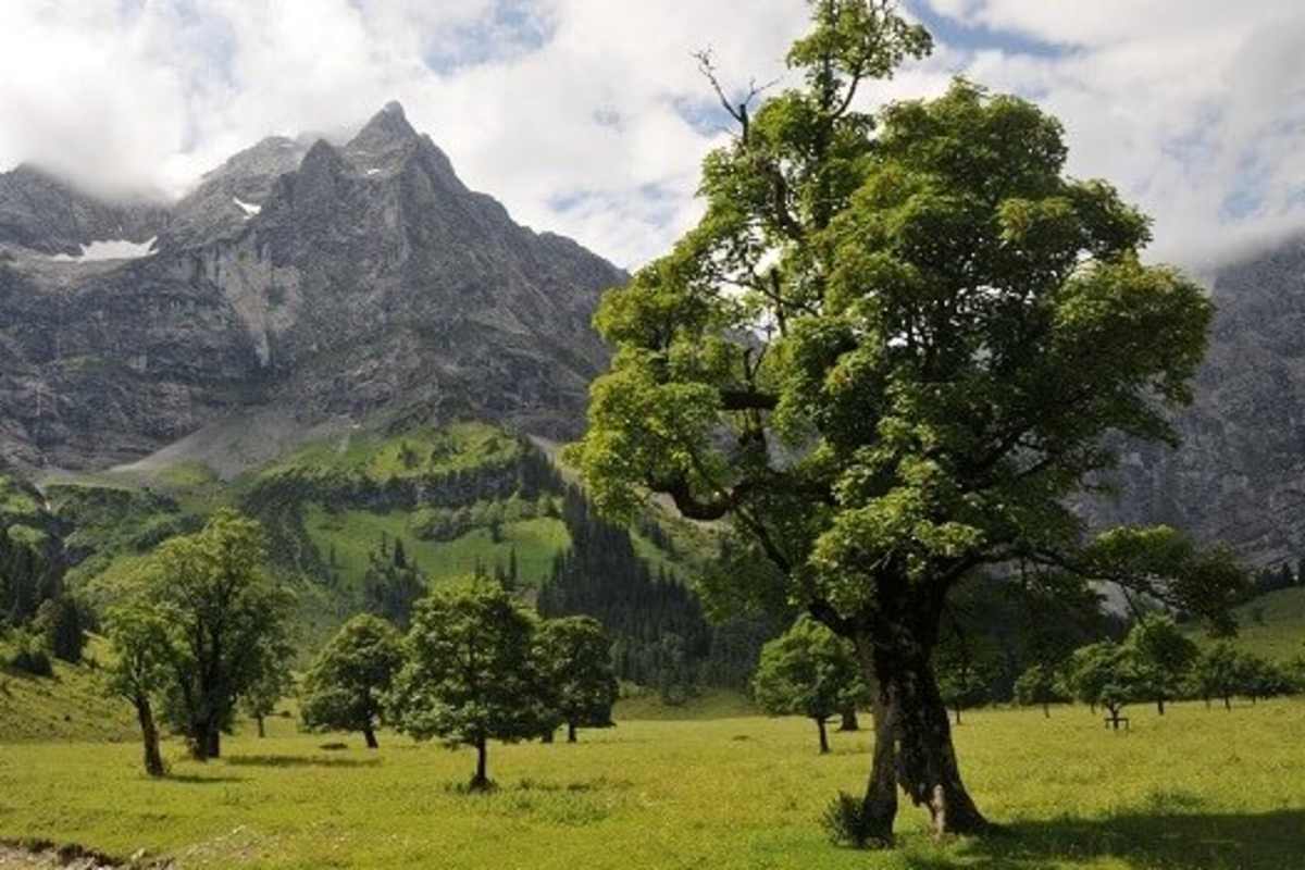 Der Große Ahornboden