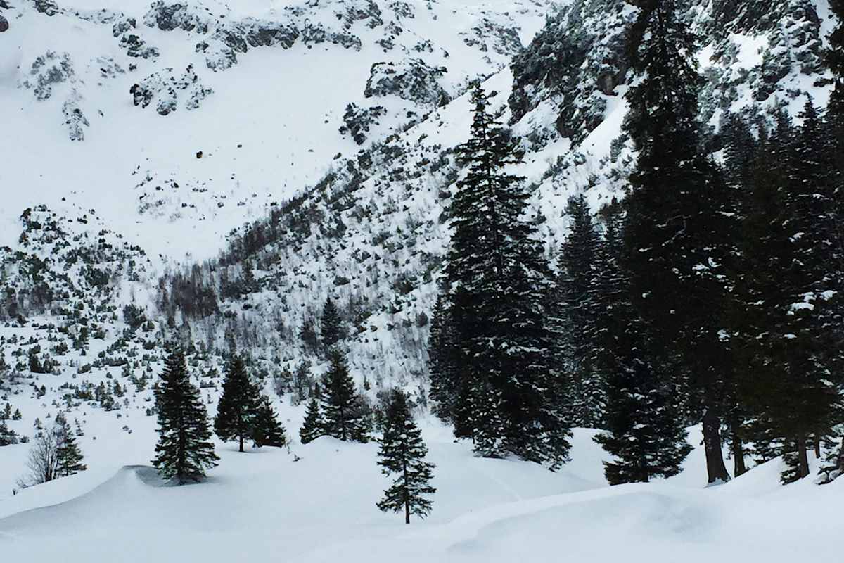Skitour in den Allgäuer Alpen: Zur Kanzelwand in Bayern