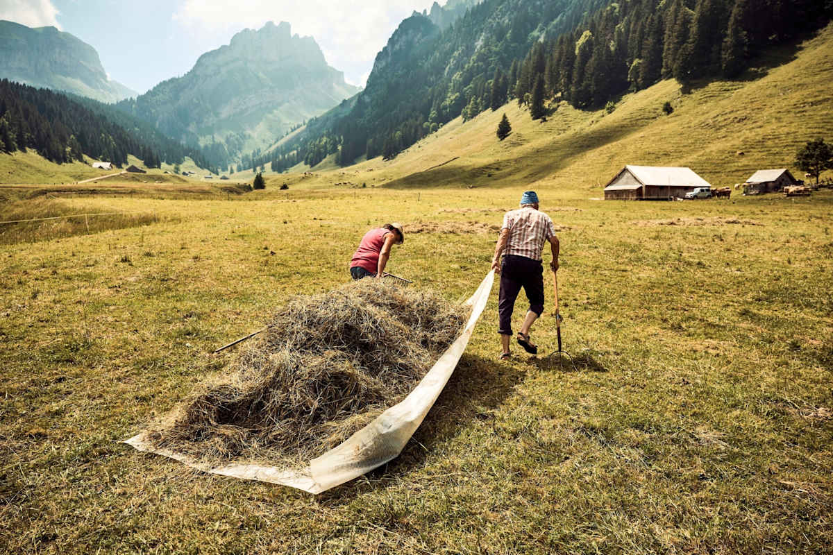 Die Bauern bei der Arbeit.