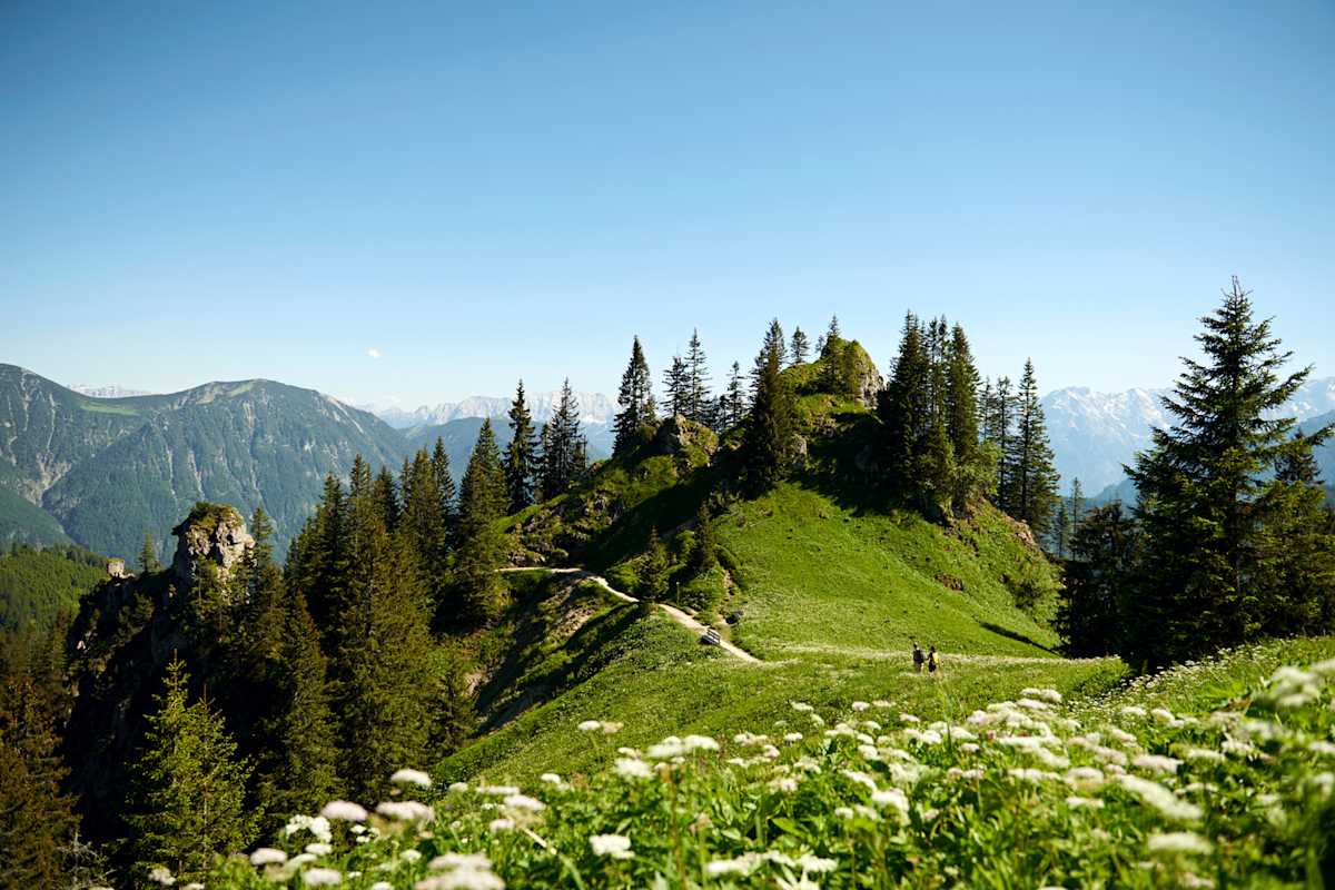 Der idyllische Laber.