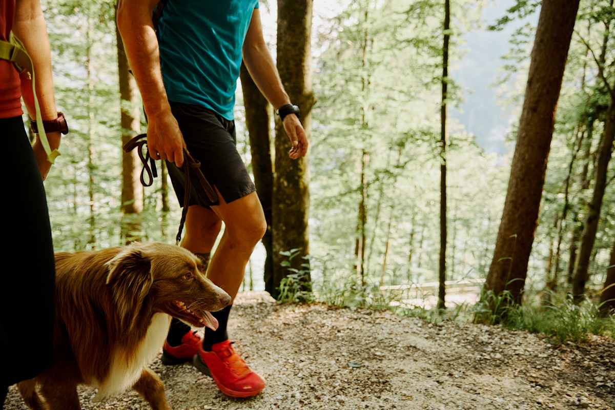 Die Leine sollte am Berg unbedingt dabei sein – hier bei einer Wanderung am Königssee