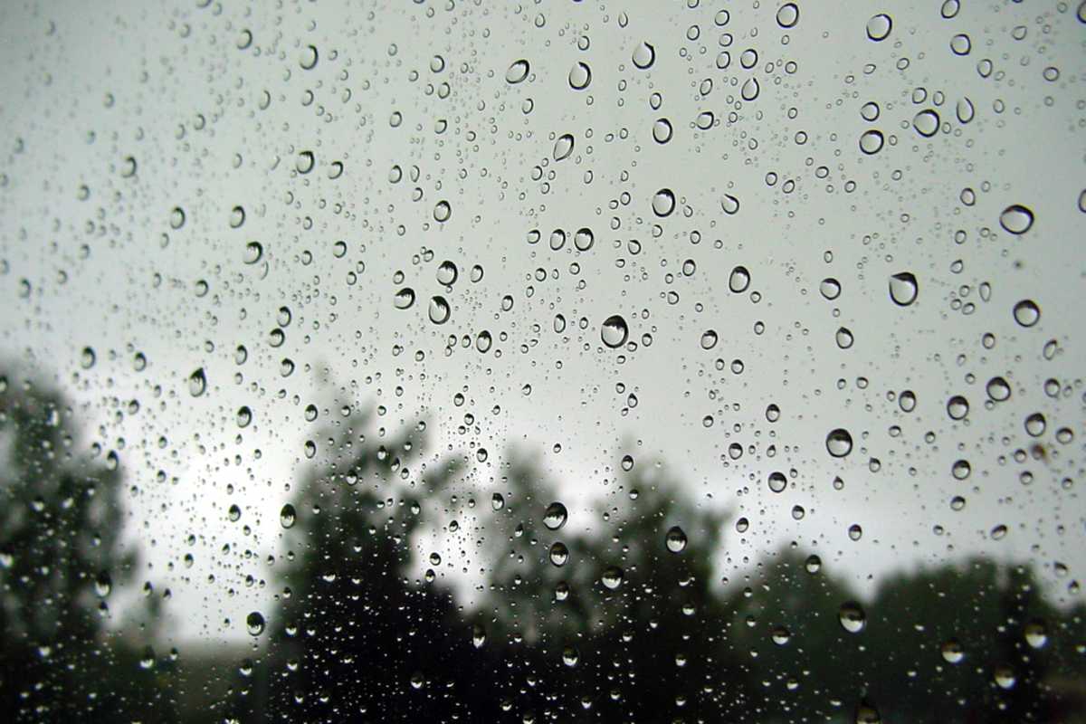 Wann kommt der Frühling?