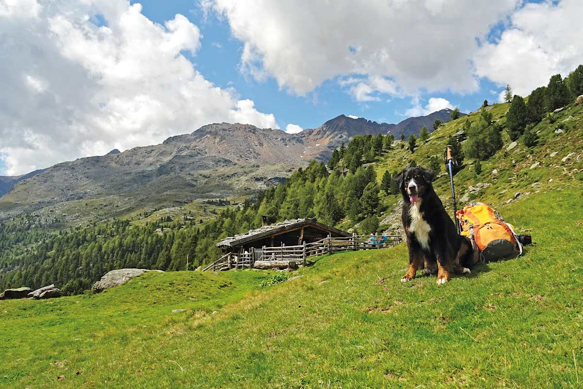 An der äußeren Pilsbergalm stößt man auf den Ultner Höhenweg.