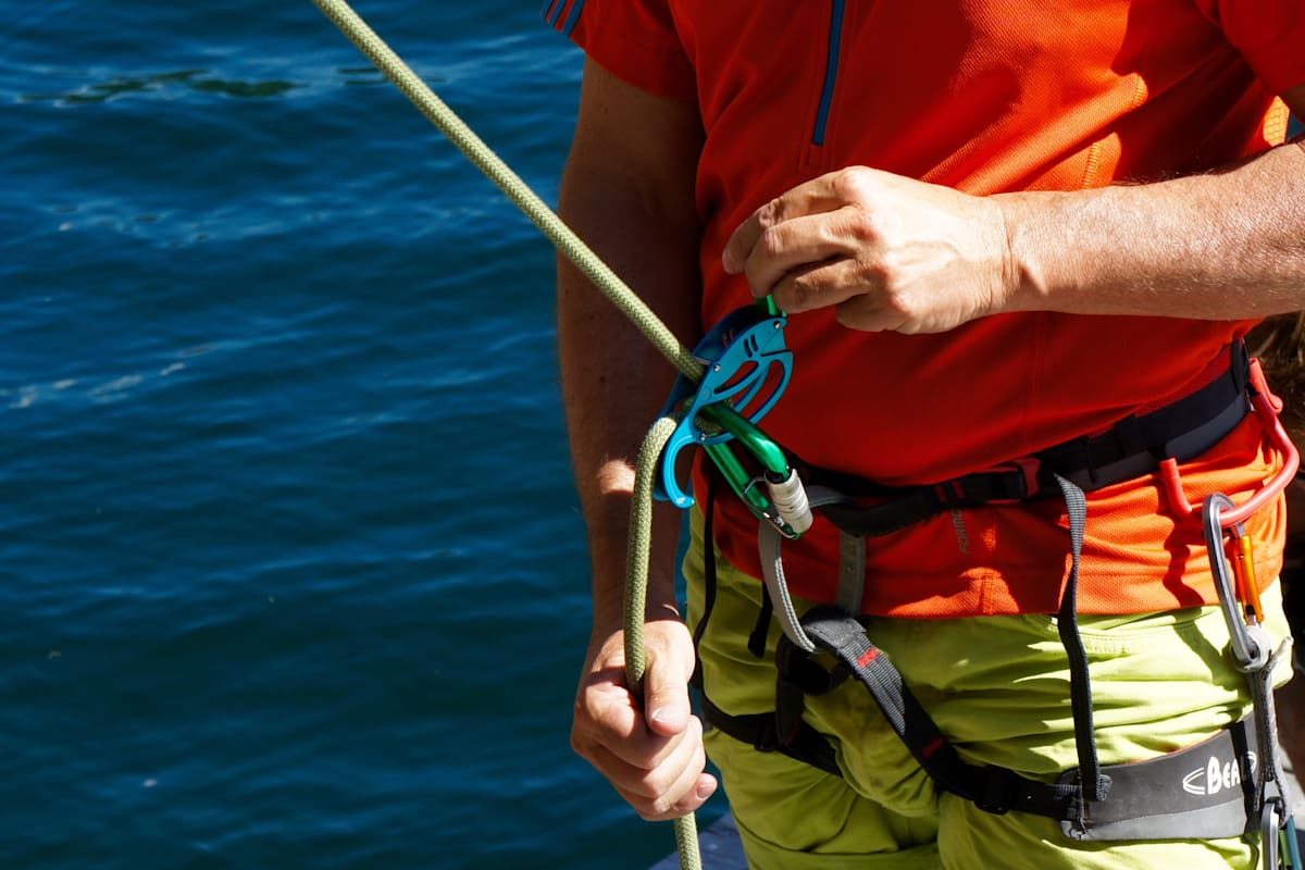 Fish Autotuber von AustriAlpin