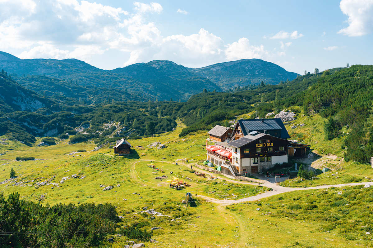 Blick auf die Gjaid Alm inmitten grüner Wiesen und Latschen