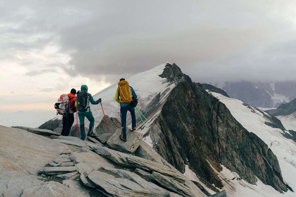 Faktischer Führer aus Gefälligkeit