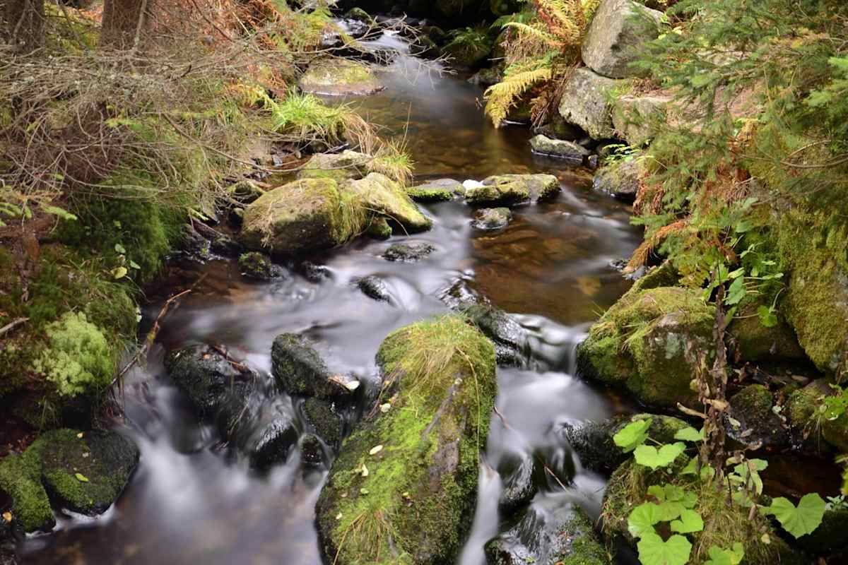 Nationalpark Bayerischer Wald