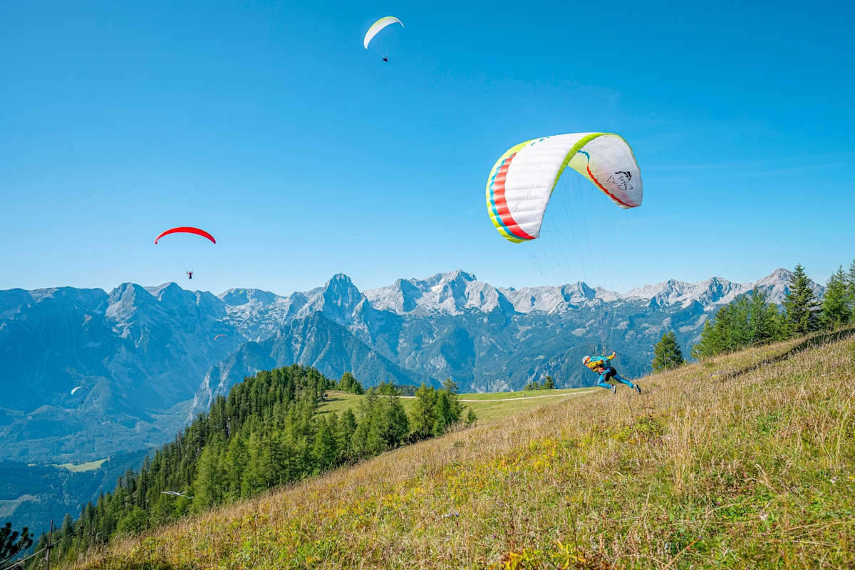 Gleitschirme in der Luft.