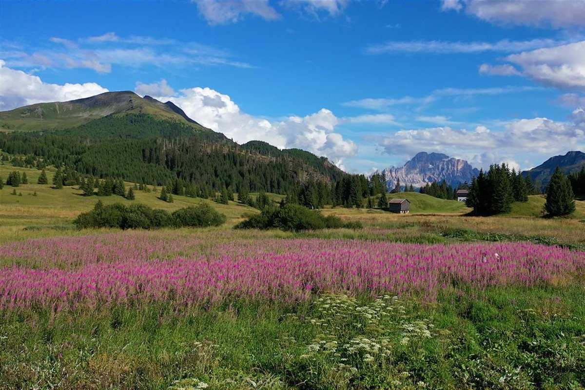 Blumenfest Buchenstein