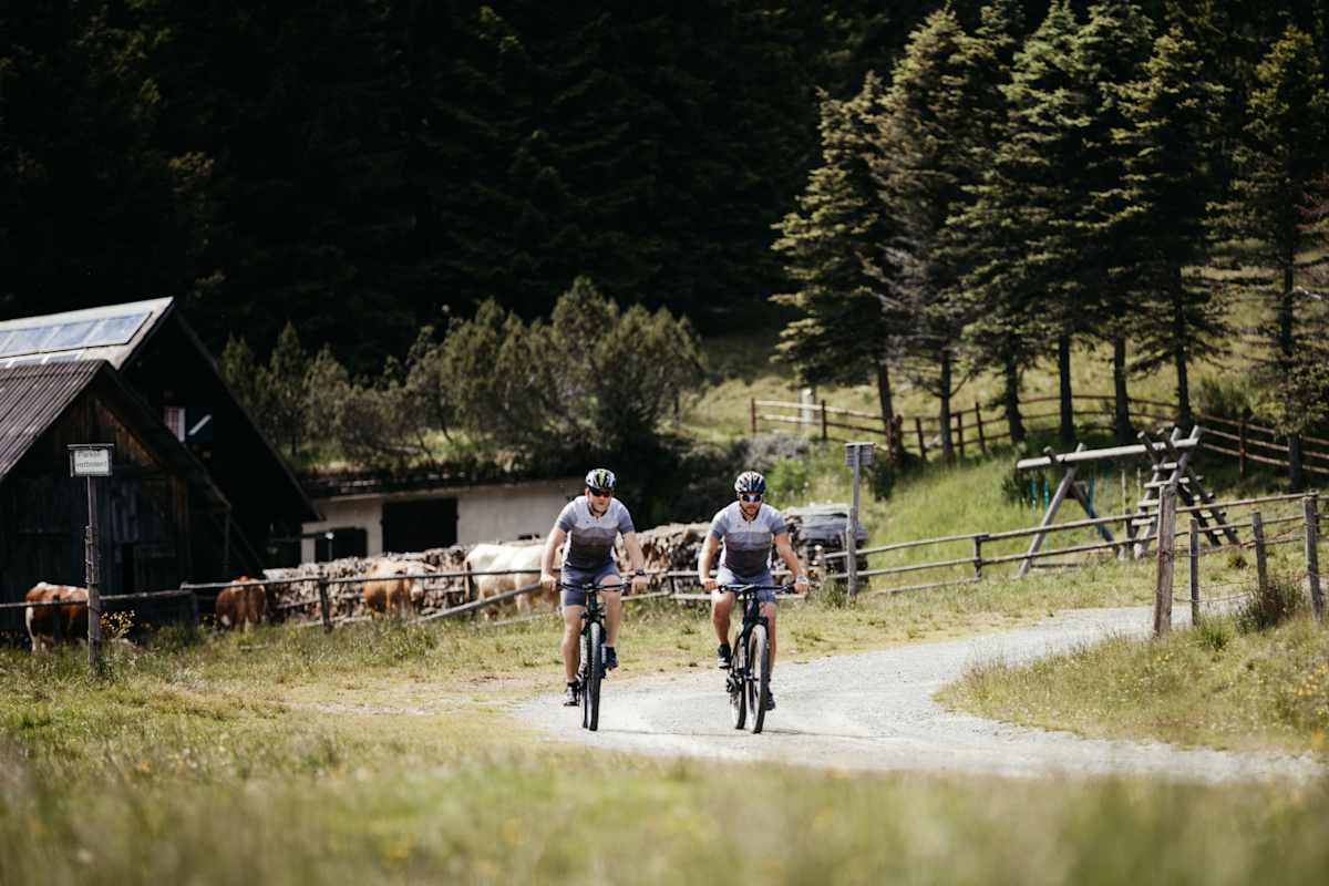 Zwei Männer radeln mit dem Mountainbike an einer Alm vorbei. Im Hintergrund grasen die Kühe, dahinter steht ein Wald.