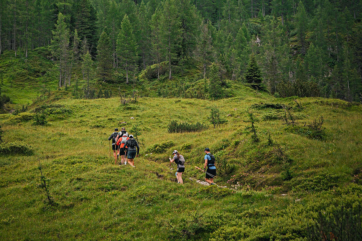 Vier Trailrunner und eine Trailrunnerin laufen einen Waldweg hinauf.