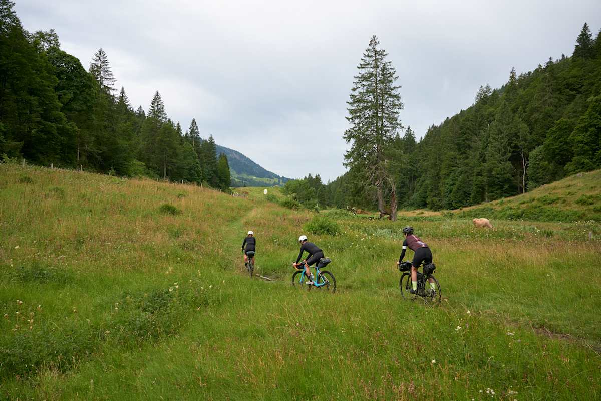 Bikepacking richtiges Rad