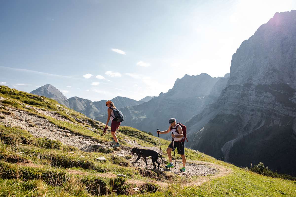 Länge und Schwierigkeit der Tour müssen auf den Hund abgestimmt sein.