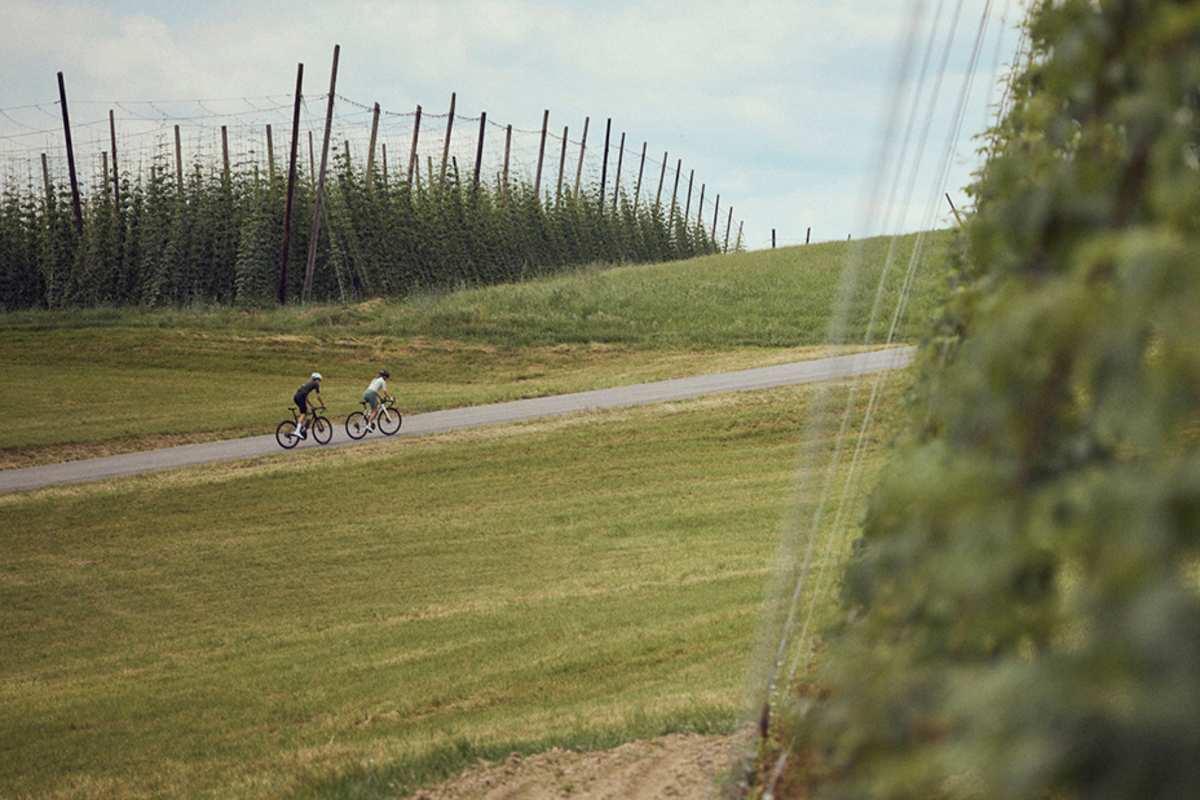 Eine Frau und ein Mann fahren im Mühlviertel zwischen Hopfenfeldern Fahrrad