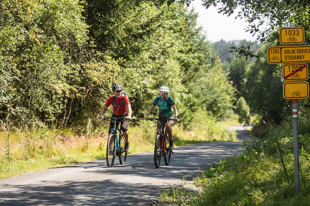 Ein Mann und eine Frau fahren mit dem Fahrrad auf einem Waldweg