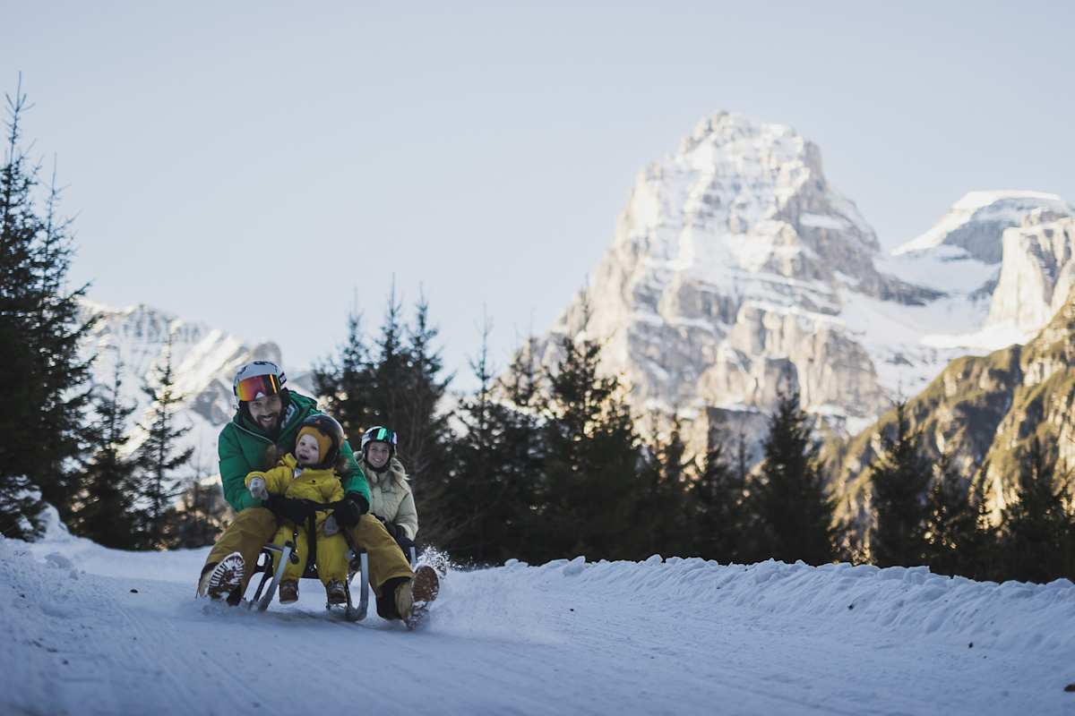 Ein Mann fährt mit einem Kind auf einer Rodel die Berge hinab. Hinter ihnen fährt eine Frau ebenfalls auf einer Rodel lachend hinterher.