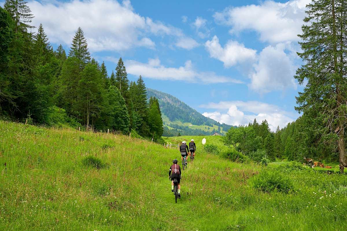 Die Radfahrer fahren auf einem Wiesenweg.