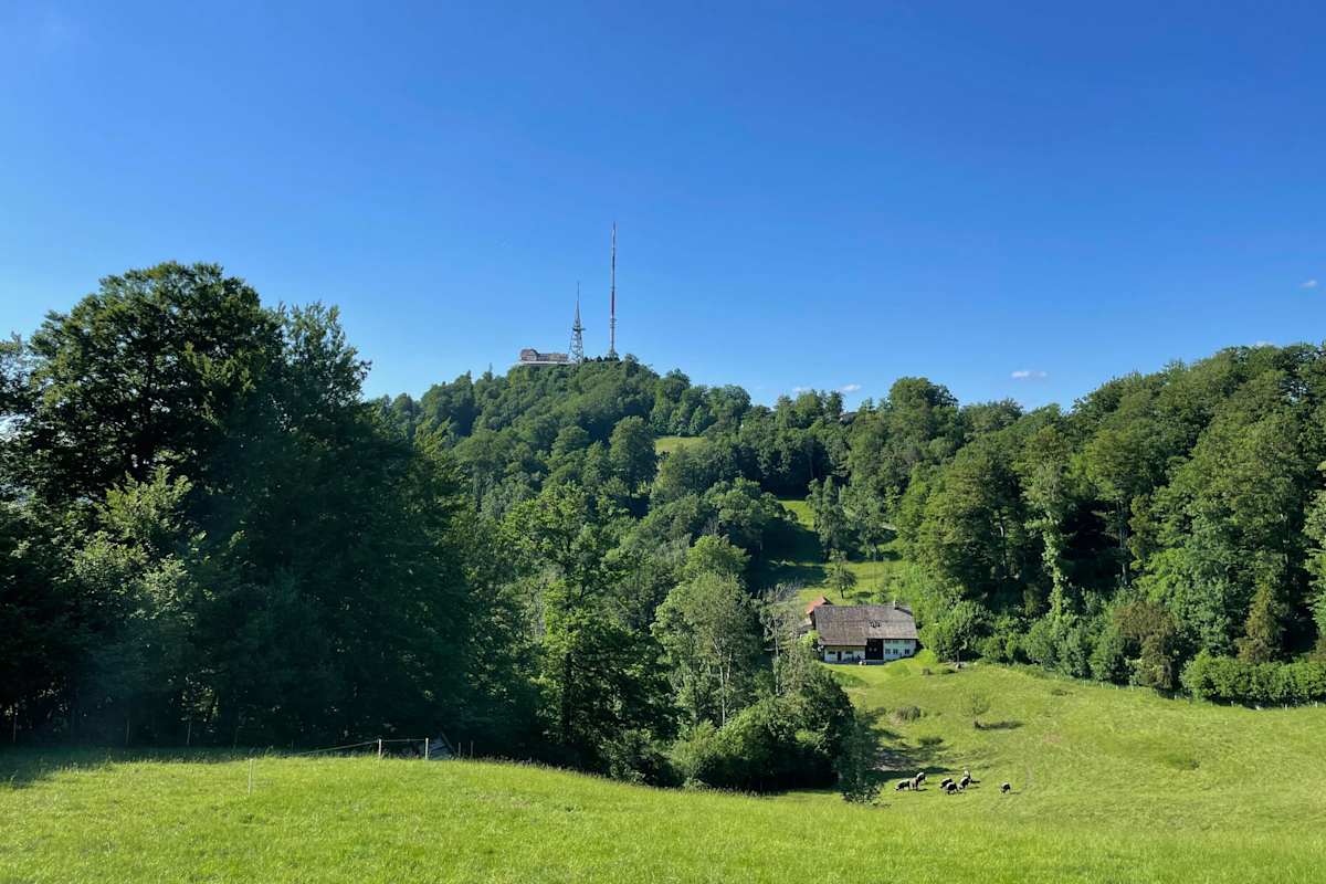 Blick auf den Uetliberg vom Planetenweg