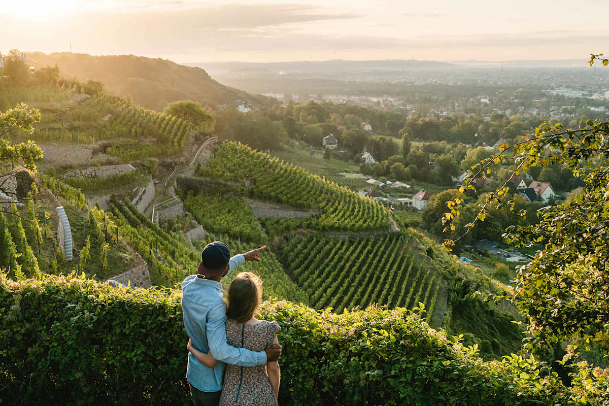 Wandern mit herrlichem Panorama in den Weinhängen bei Schloss Wackerbarth.