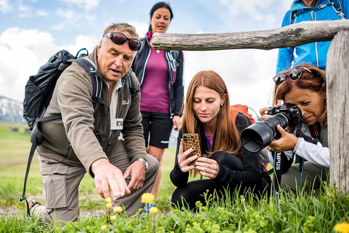 Spannende Einblicke in die Fauna und Flora der Dolomitenregion Seiser Alm werden bei den Blumenwanderungen der Veranstaltungsreihe „Seiser Alm Balance“ geboten.