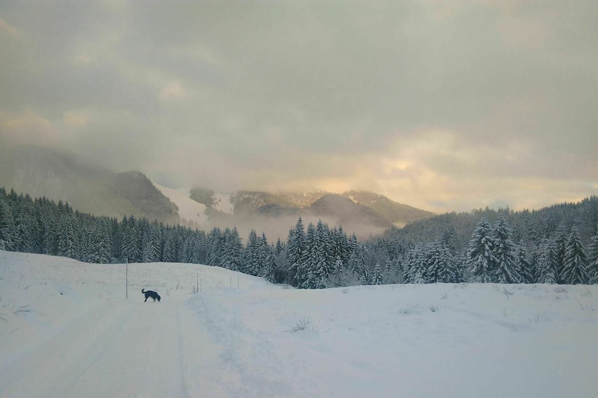 3D-Kartenausschnitt der Wanderung auf die Brecherspitze