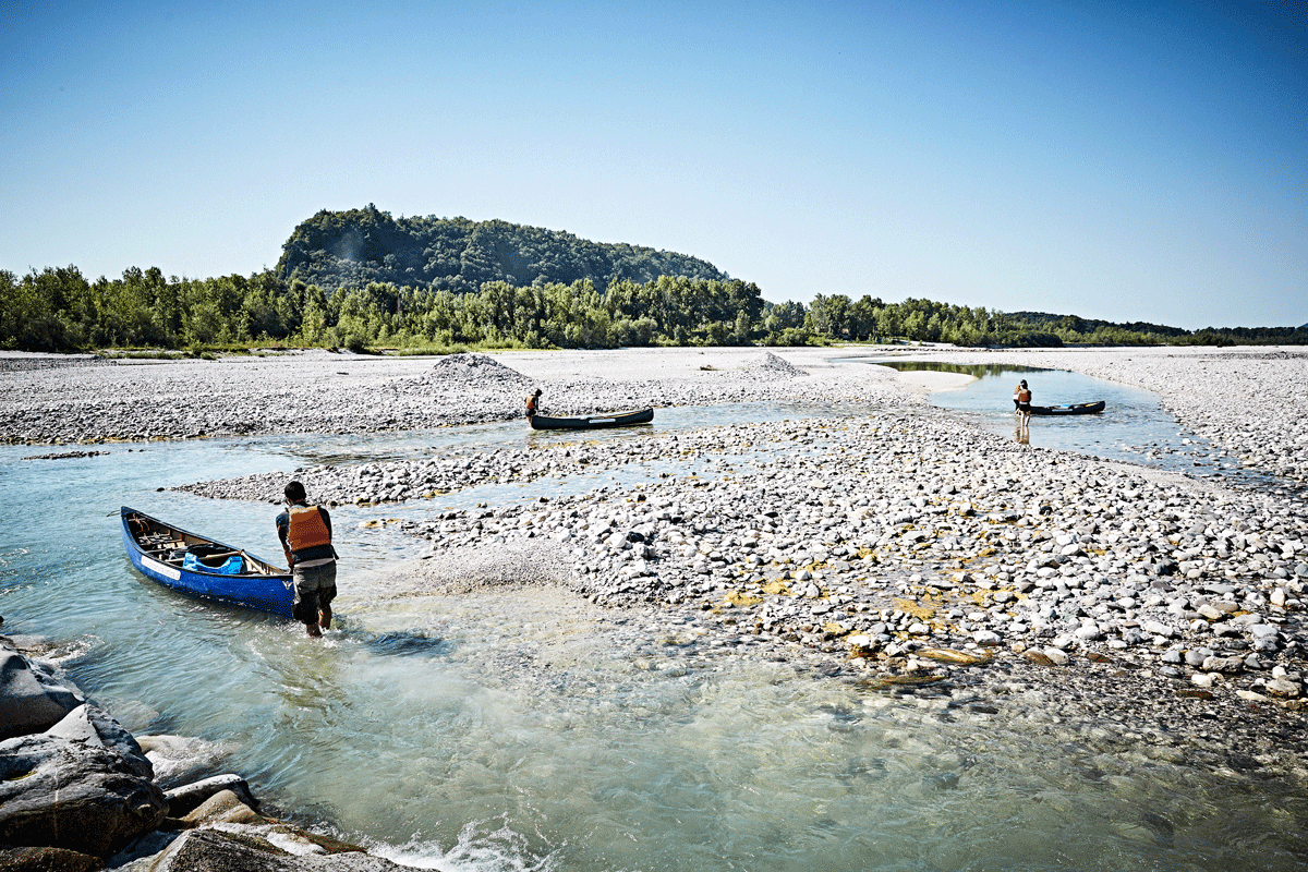 Ein Netz aus zahlreichen Haupt- und Nebenarmen bestimmt das Bild des Tagliamento. Ein Flusslauf, der nicht begradigt wurde und wie man ihn heute kaum mehr kennt.