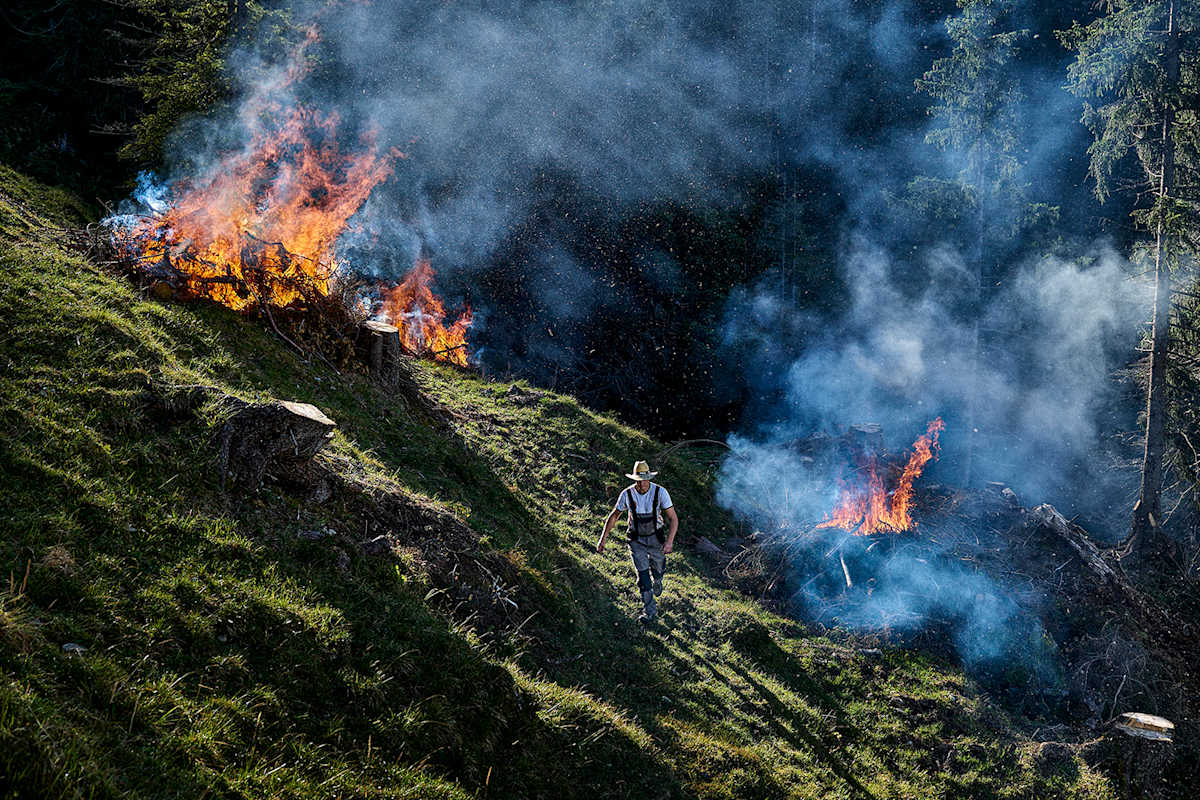 Beim Schwenden werden Wiesen und Almen von Bewuchs befreit, ohne das Wurzelwerk zu beschädigen.