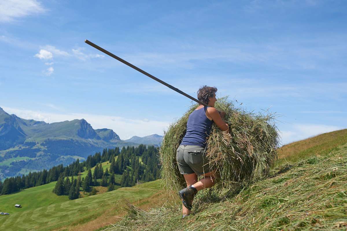 Die Fachstelle Bergeinsatz Caritas hilft, wo immer Hilfe benötigt wird