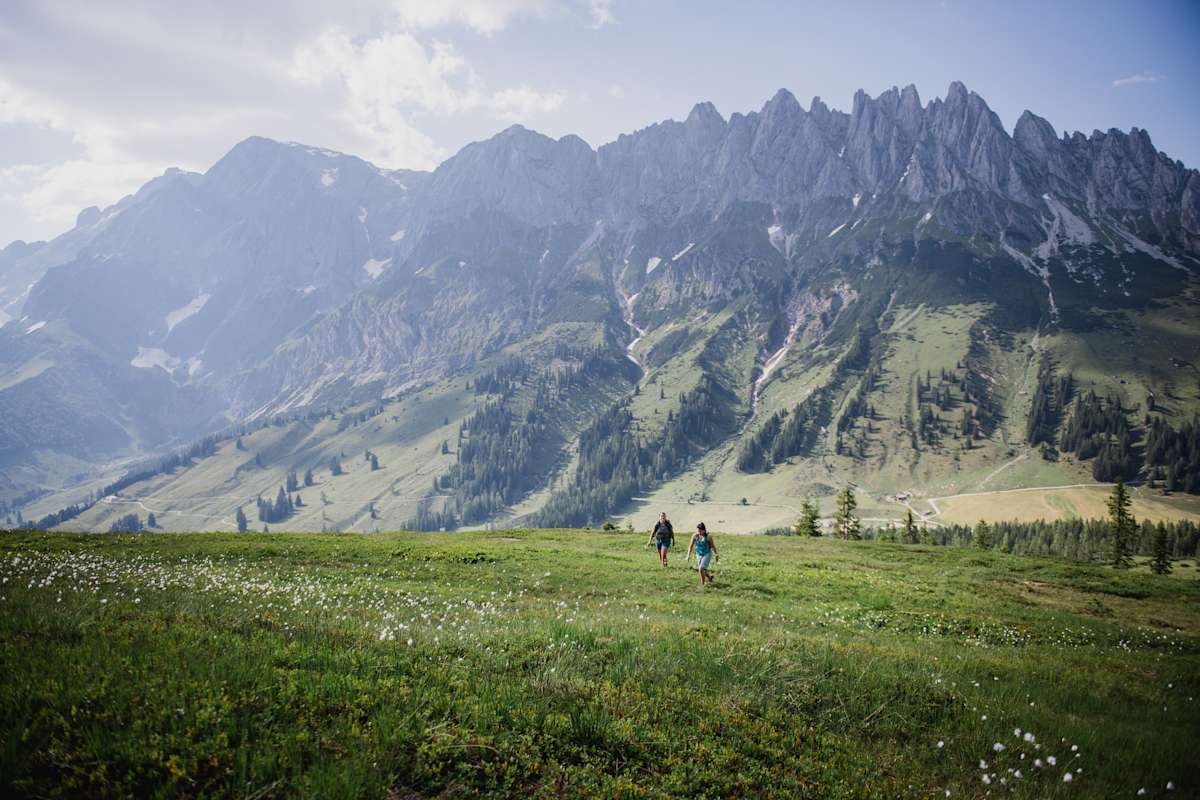 Blick auf das Hochkönigmassiv